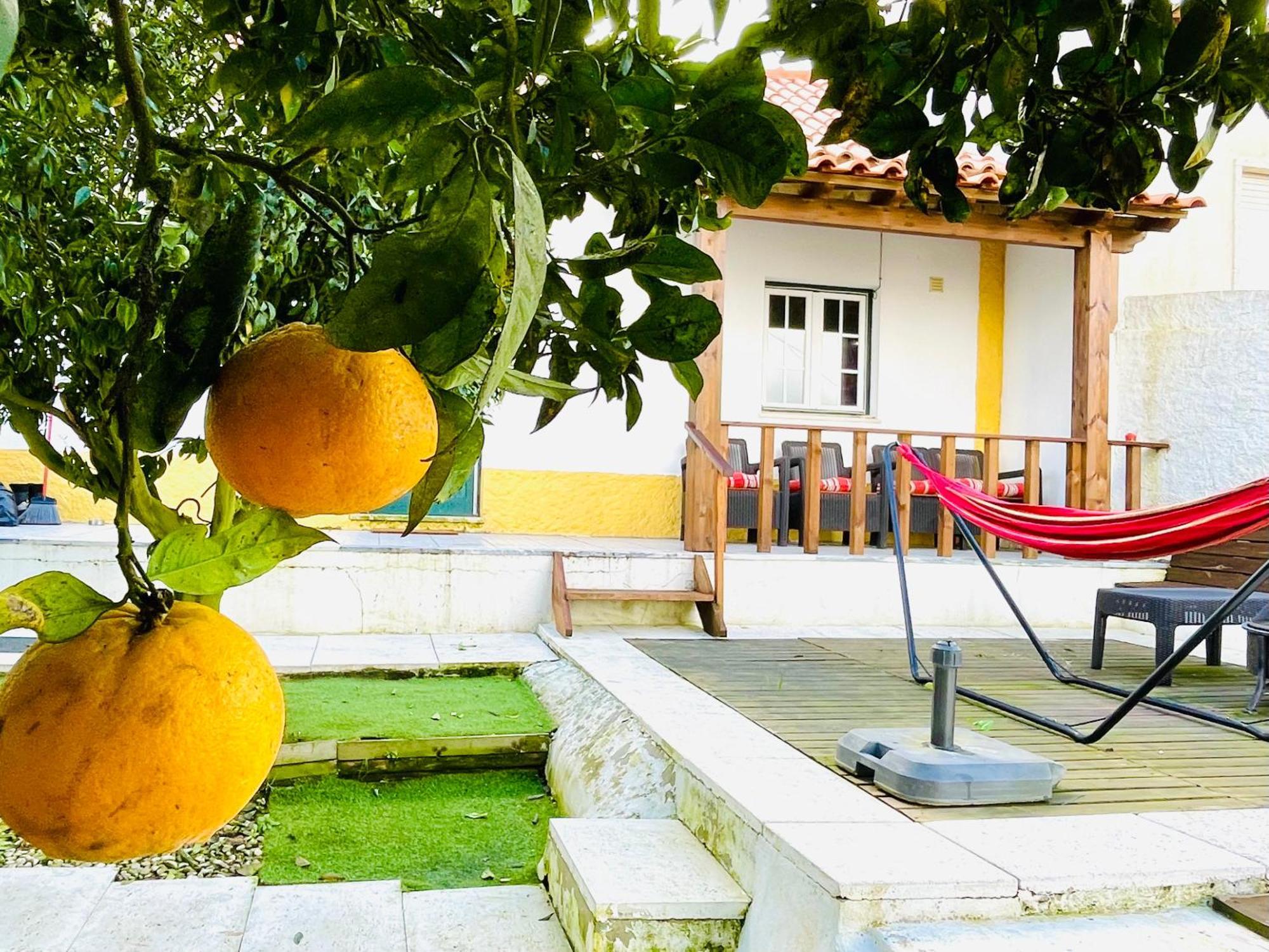 Villa Casa Da Laranjeira Vale Covo  Exterior foto